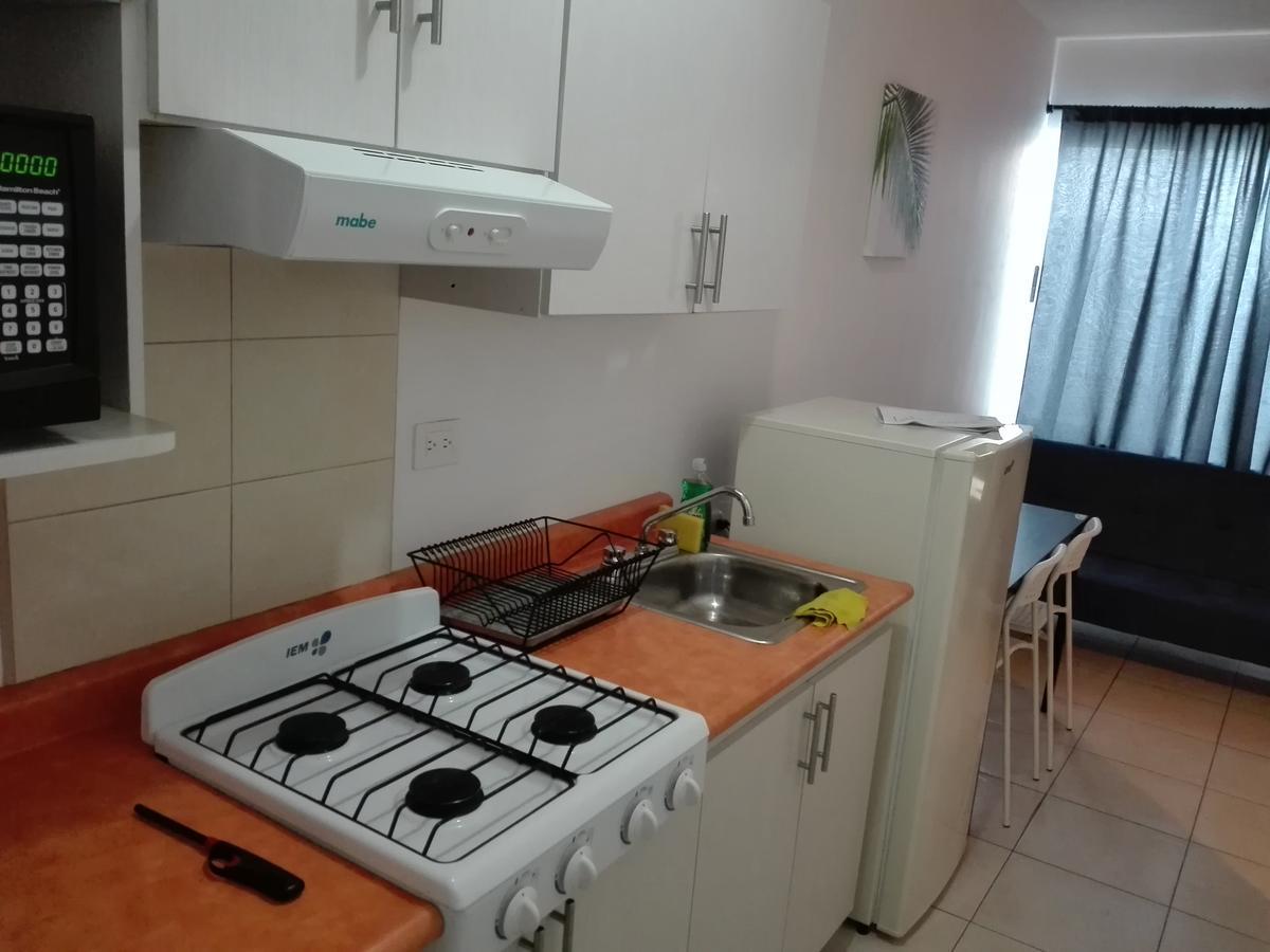 Mv Suites Monterrey Eksteriør billede